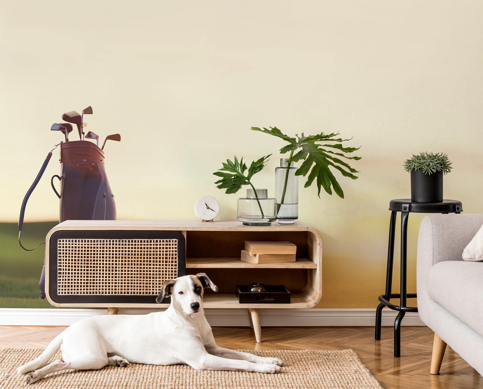 Golf Bag Wall Mural-Wall Mural-Eazywallz