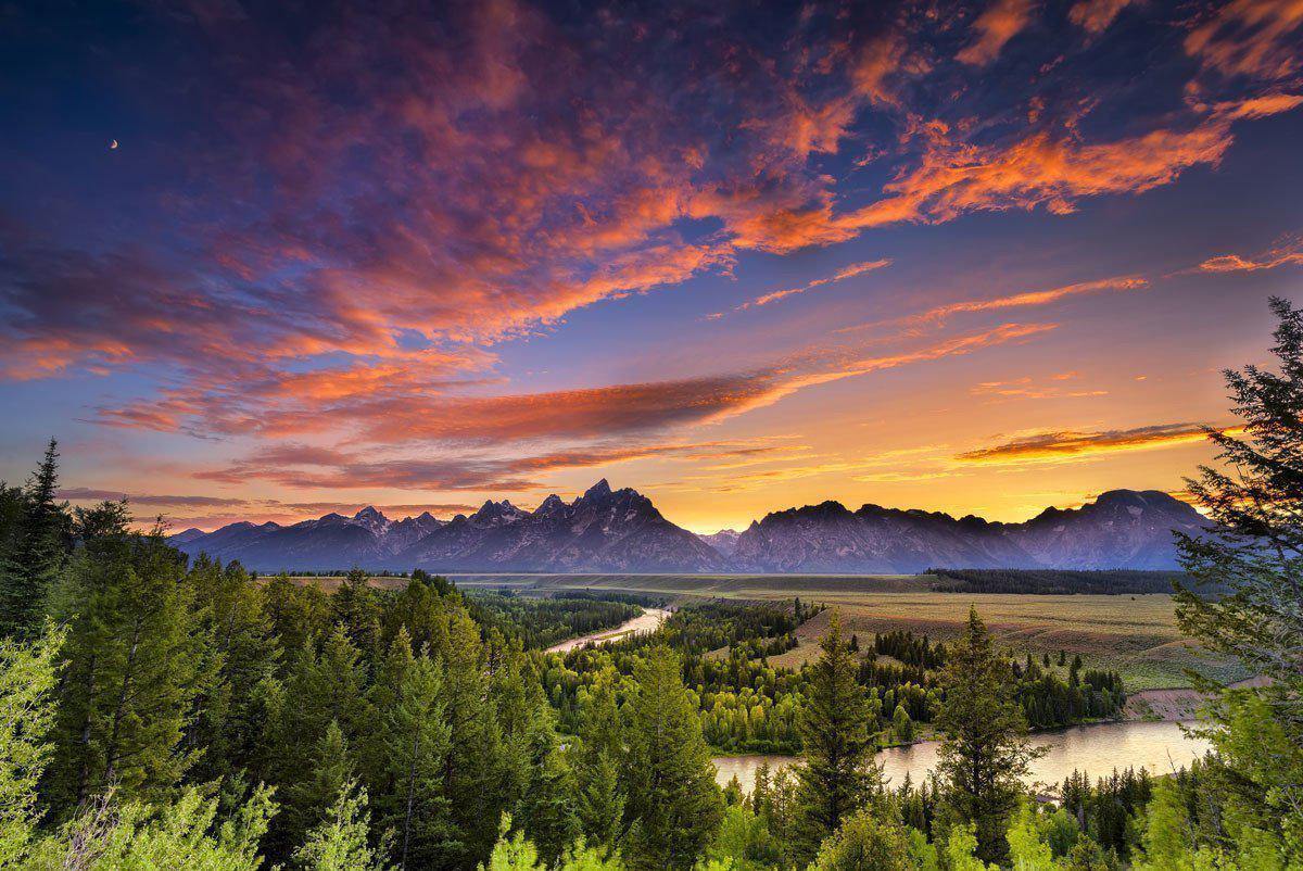 Grand Teton Wall Mural-Wall Mural-Eazywallz