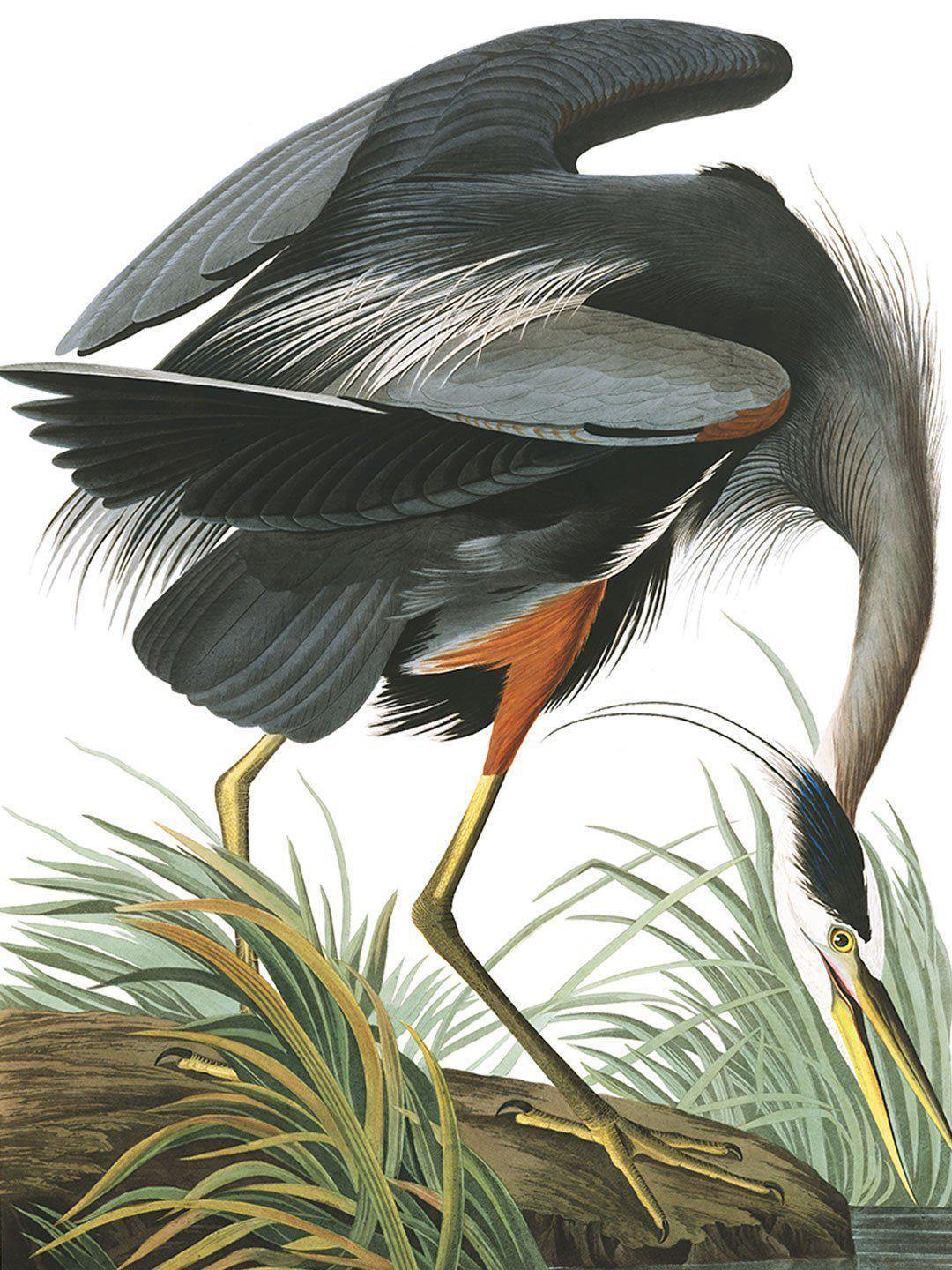 Great Blue Herron Mural Wallpaper-Wall Mural-Eazywallz