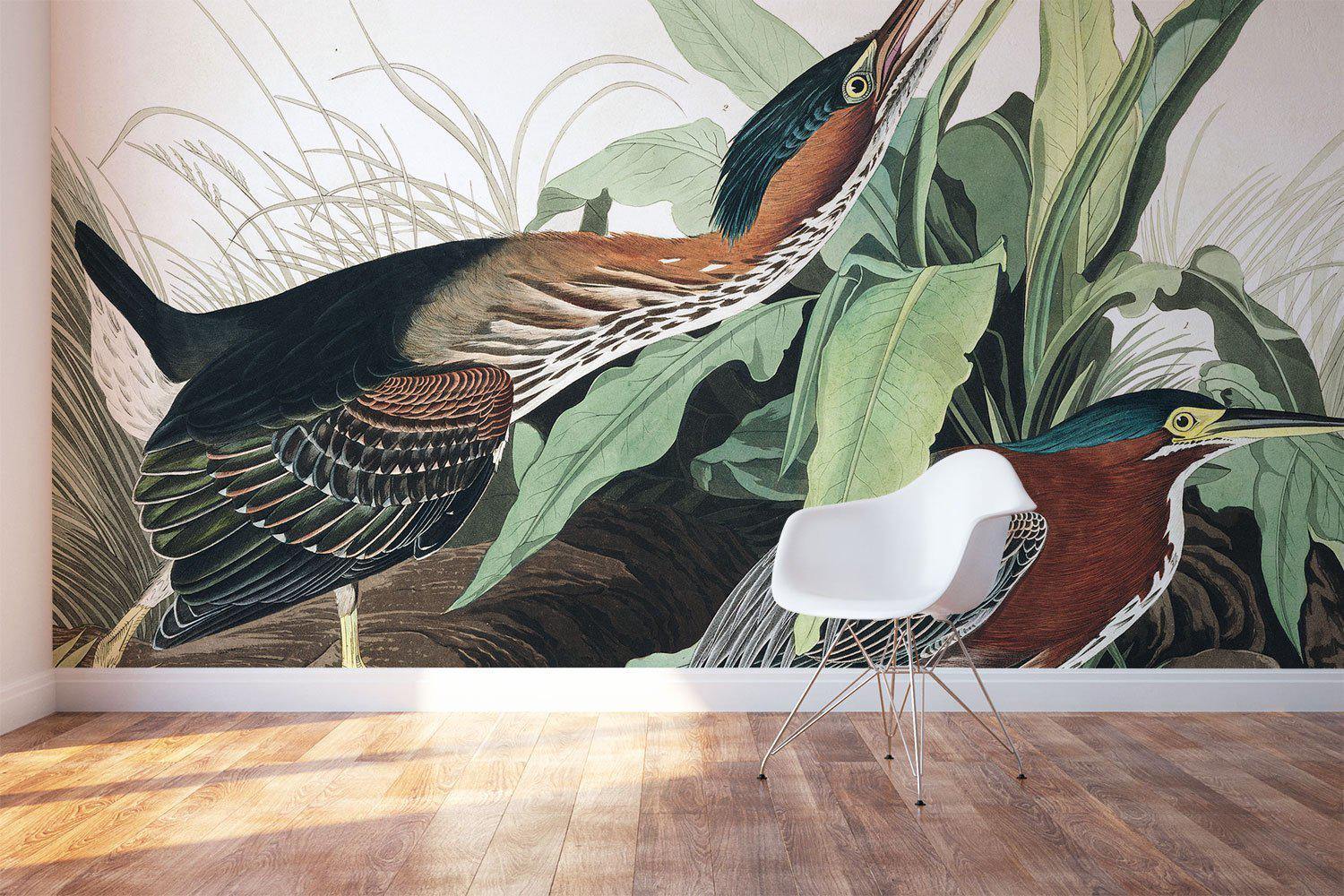 Green Heron Wall Mural-Wall Mural-Eazywallz