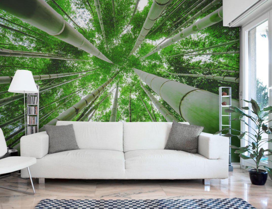 Green bamboo forest Wall Mural-Wall Mural-Eazywallz