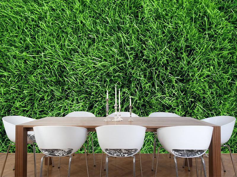 Green grass field Wall Mural-Wall Mural-Eazywallz