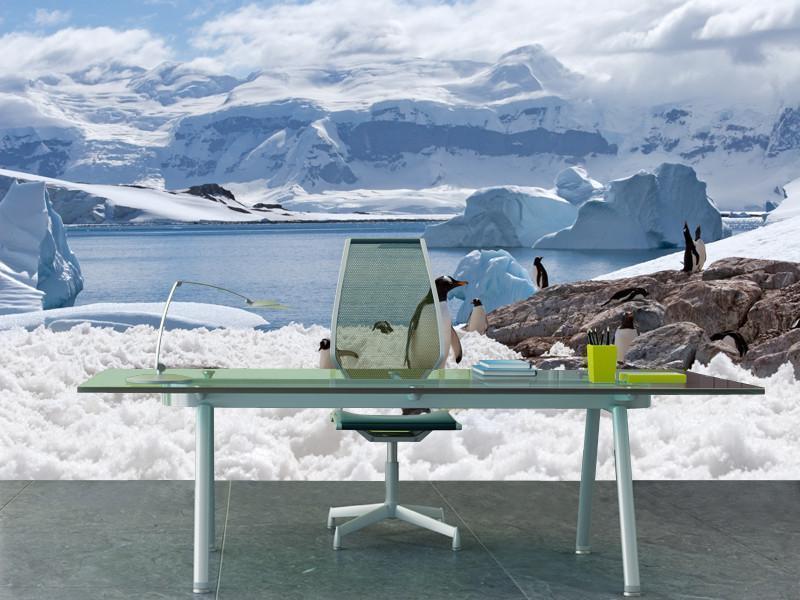 Group of penguins Wall Mural-Wall Mural-Eazywallz