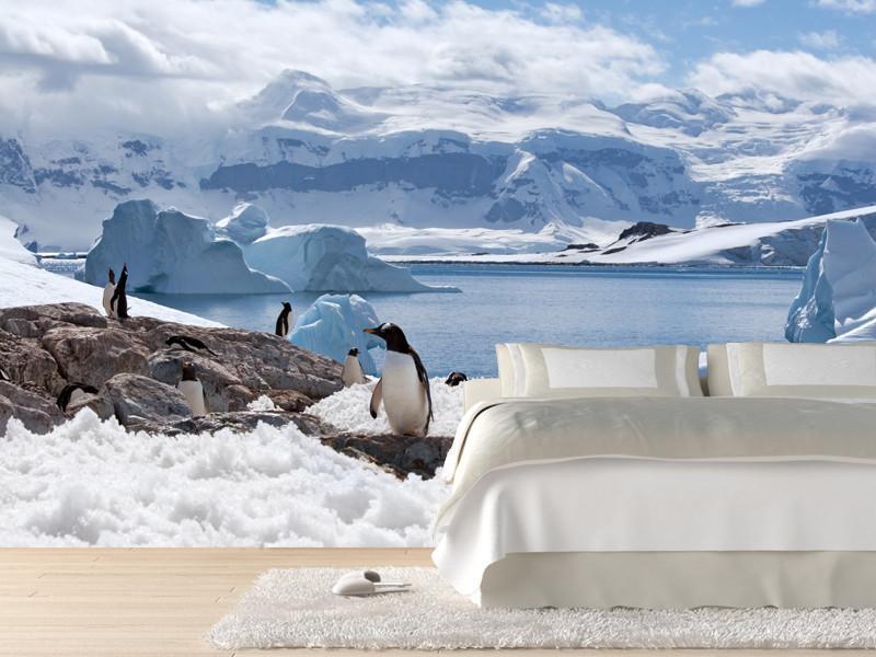 Group of penguins Wall Mural-Wall Mural-Eazywallz