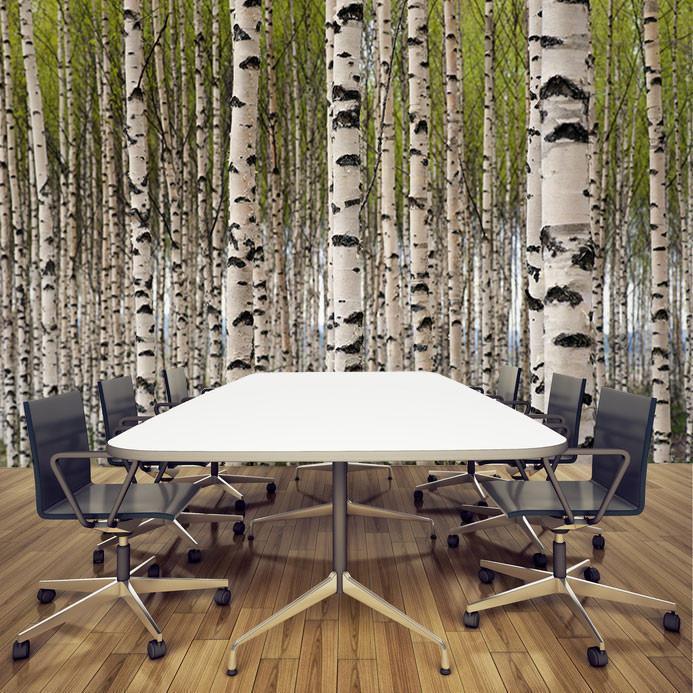 Grove of Birch Trees Wall Mural-Wall Mural-Eazywallz