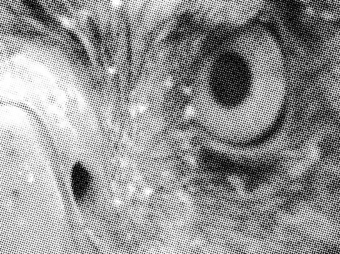 Halftone Bald Eagle Wall Mural-Wall Mural-Eazywallz