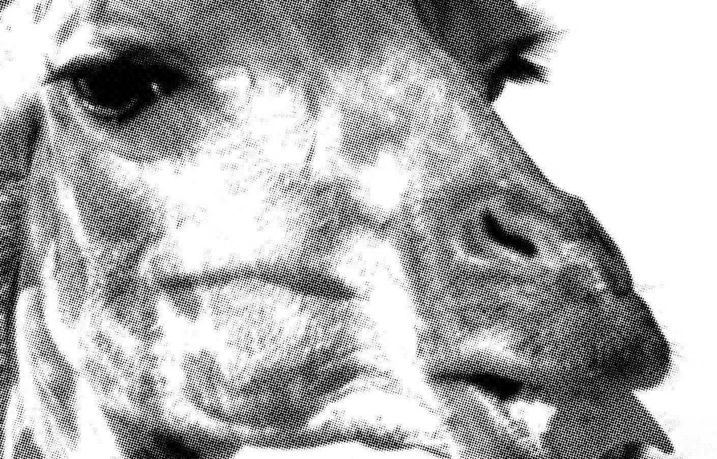 Halftone Giraffes Wallpaper Mural-Wall Mural-Eazywallz