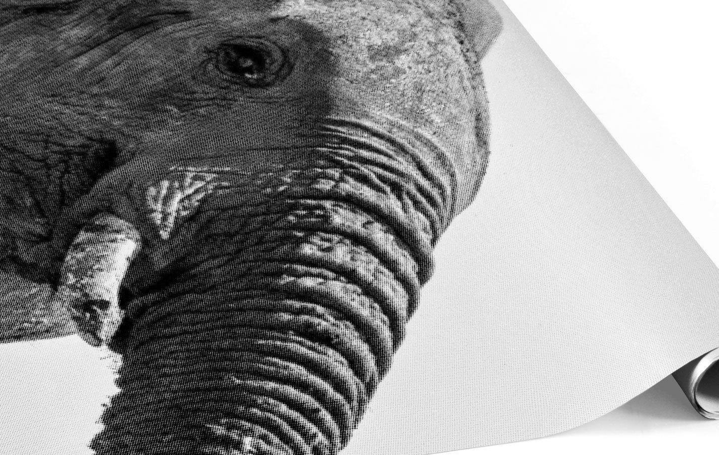 Halftone Happy Elephant Wall Mural-Wall Mural-Eazywallz