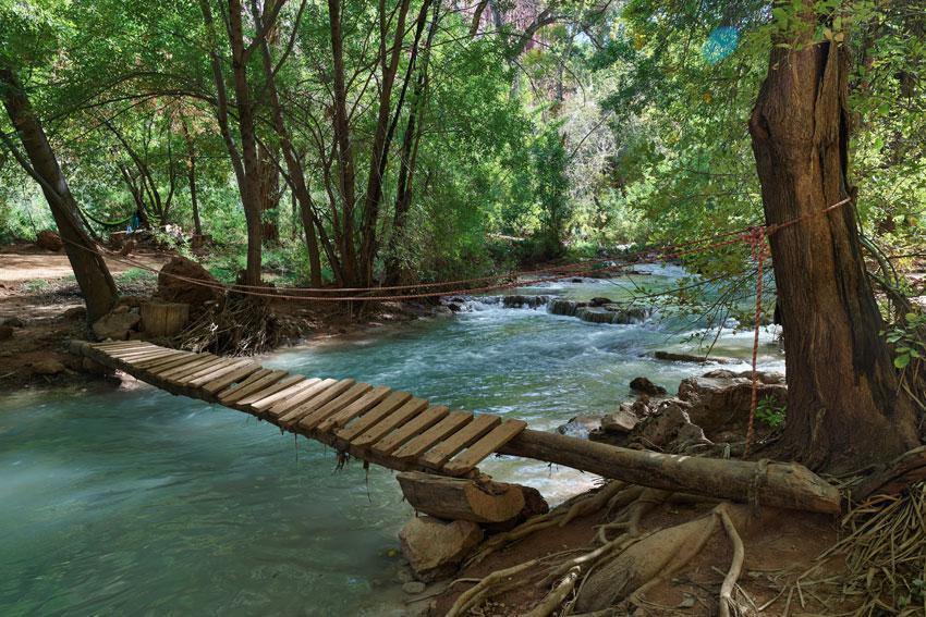 Havasu Creek Nature Wall Mural-Wall Mural-Eazywallz