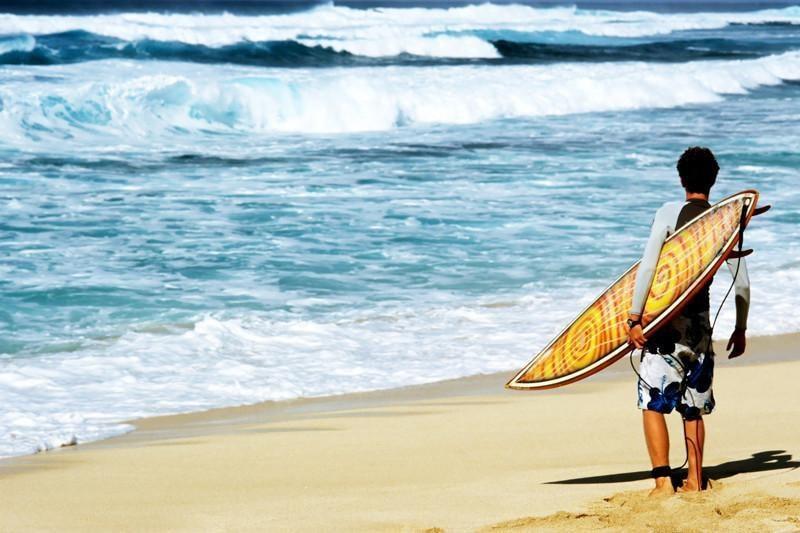 Hawaiian surf Wall Mural | Eazywallz