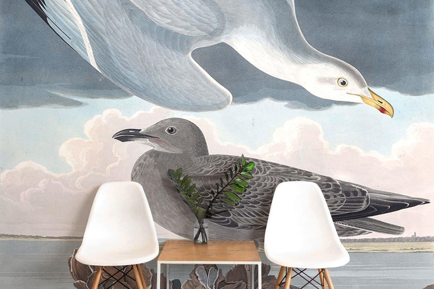 Herring Gull Wall Mural-Wall Mural-Eazywallz