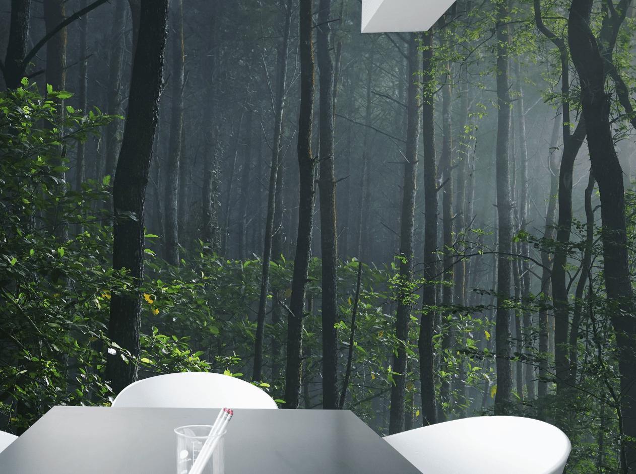 Indonesian Rain Forest Wall Mural-Wall Mural-Eazywallz