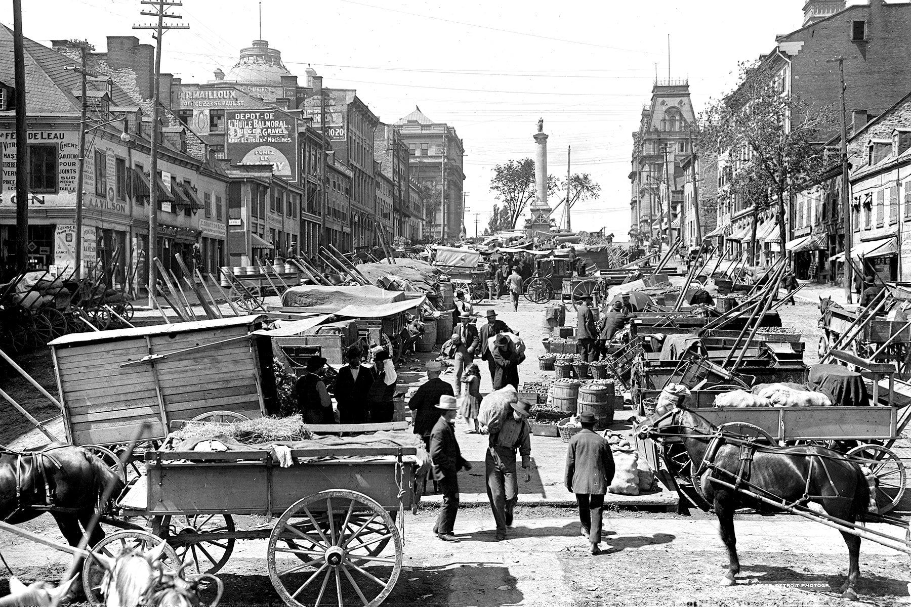 Jacques Cartier Square Wall Mural-Wall Mural-Eazywallz