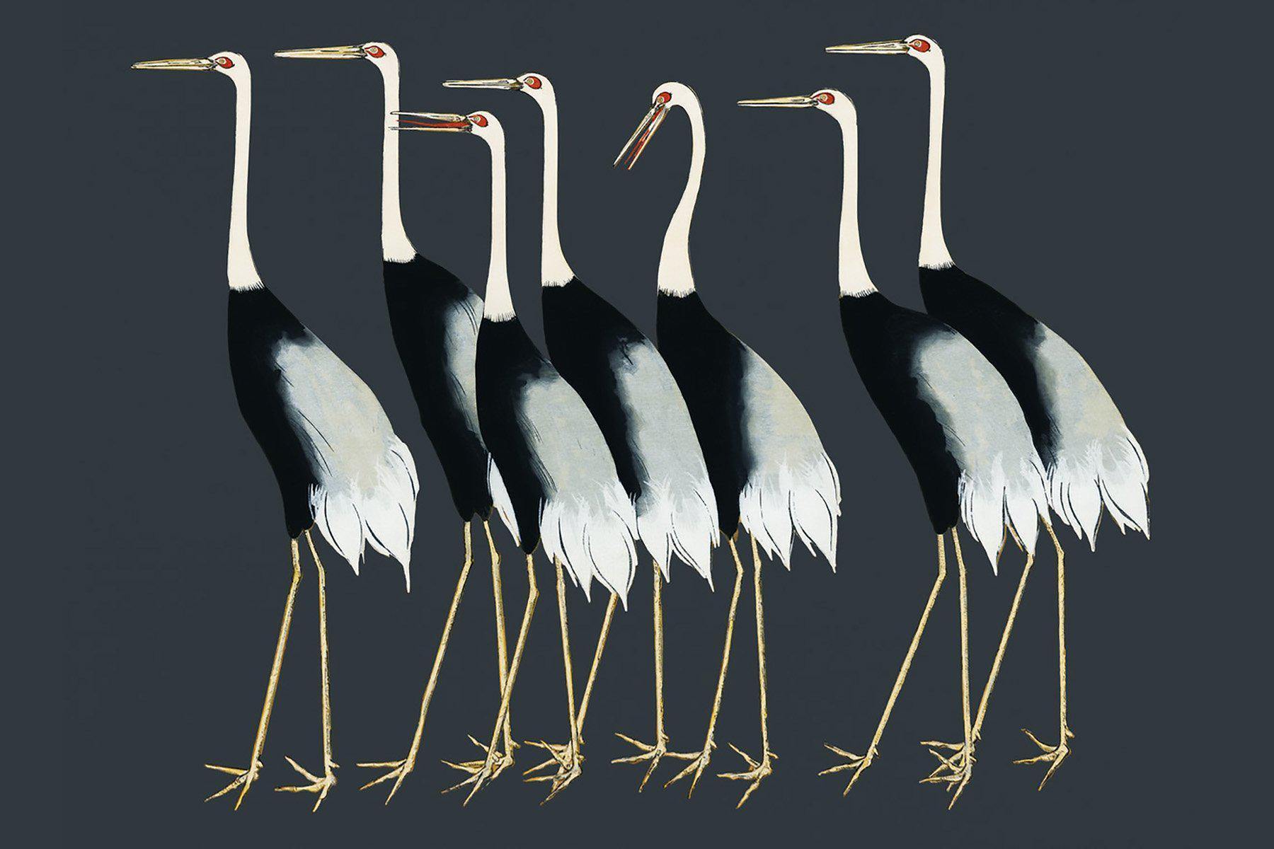Japanese Red Crown Crane Wall Mural-Wall Mural-Eazywallz
