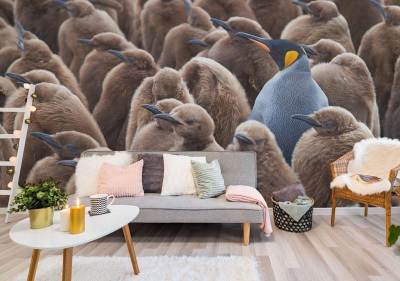 King penguin on Falkland Island Wall Mural-Wall Mural-Eazywallz