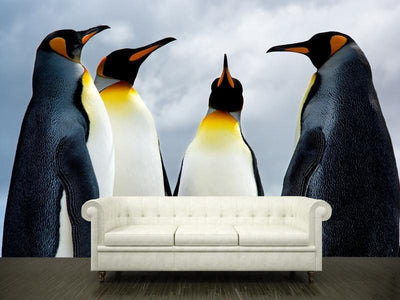 King penguins Wall Mural-Wall Mural-Eazywallz