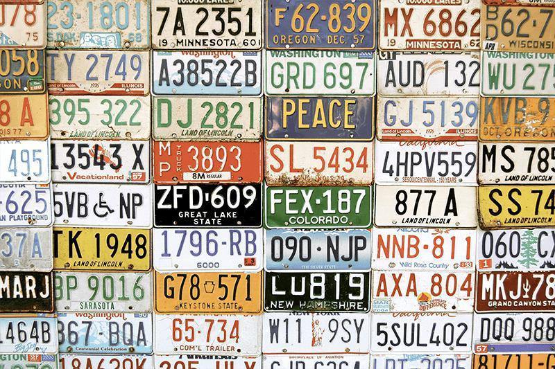 License Plate Collage Wall Mural-Wall Mural-Eazywallz