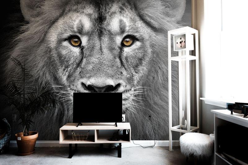 Lion Head Wall Mural Wall Mural-Wall Mural-Eazywallz