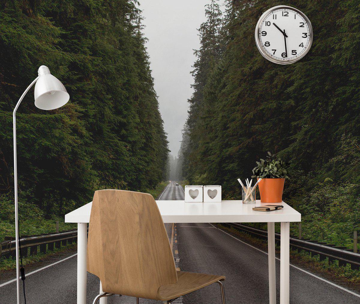 Long Road Home Wall Mural-Wall Mural-Eazywallz
