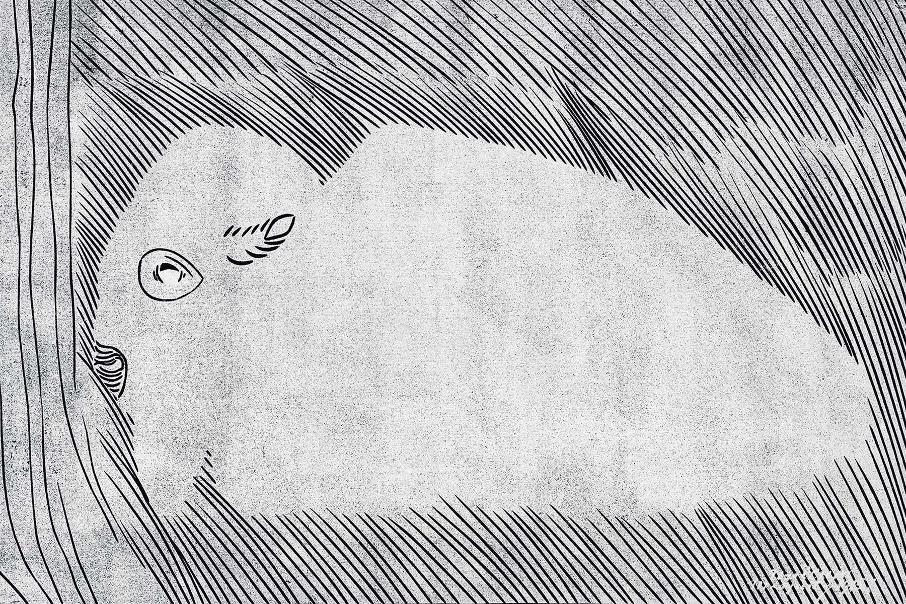 Lying Bison Wall Mural-Wall Mural-Eazywallz