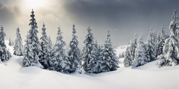Majestic Winter Panorama Wall Mural-Wall Mural-Eazywallz