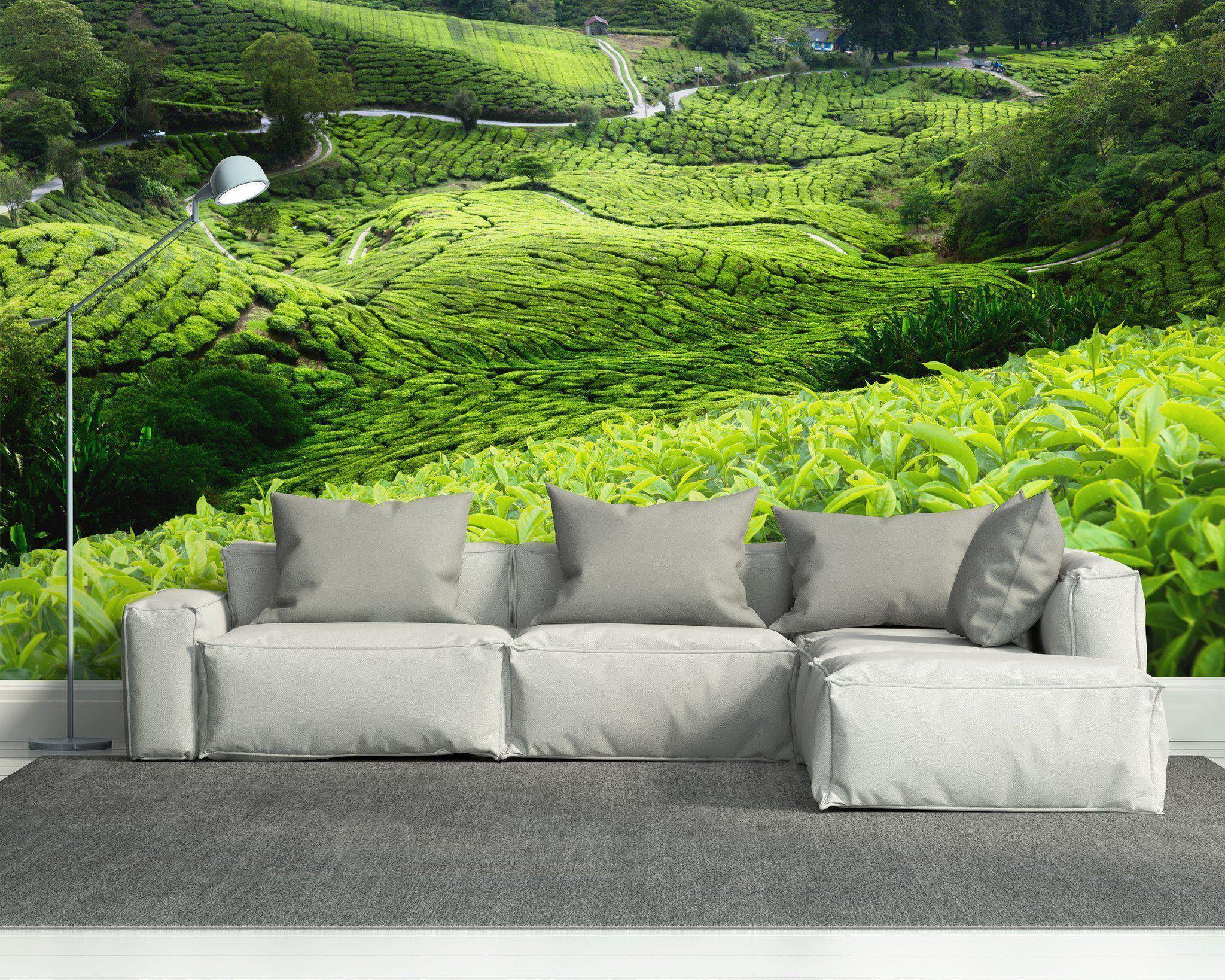 Malaysian Tea Plantation Wall Mural-Wall Mural-Eazywallz