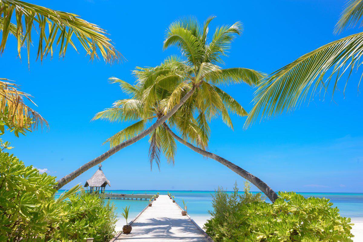 Maldives Beach View Wall Mural-Wall Mural-Eazywallz