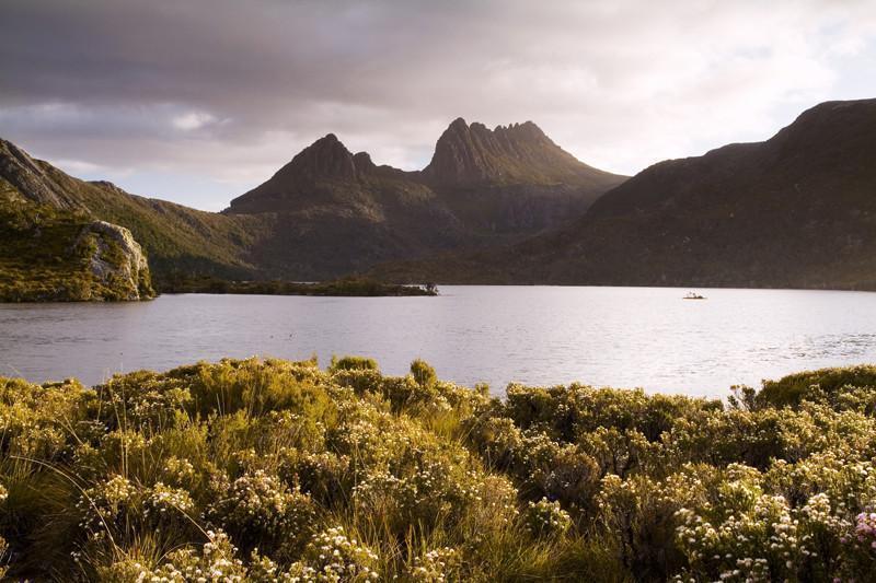 Mountains in Tasmania Wall Mural-Wall Mural-Eazywallz