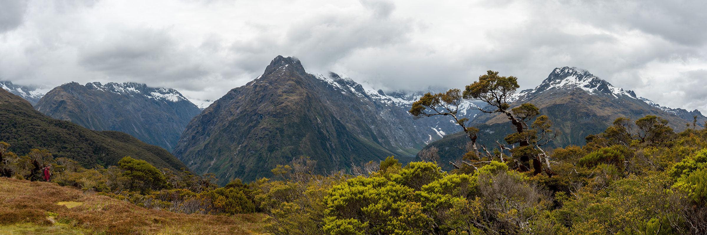 Mountains of Fiordland National Park Wall Mural-Wall Mural-Eazywallz