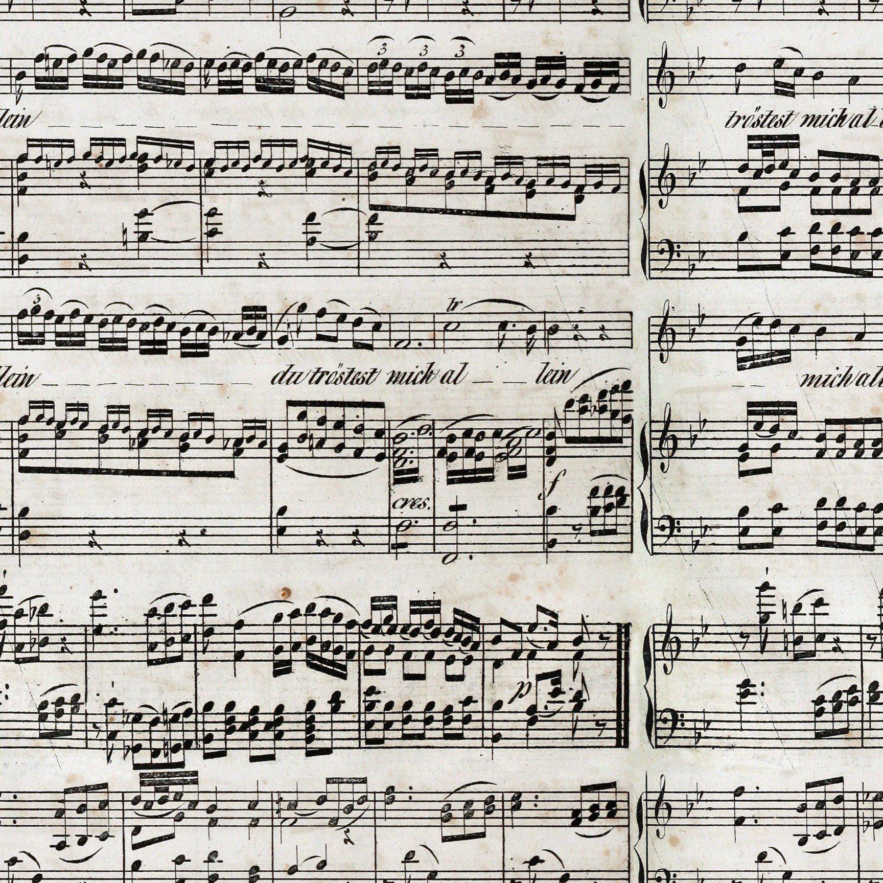 Music Notes Pattern Wall Mural-Wall Mural-Eazywallz