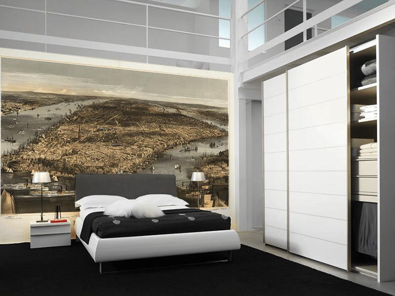 New York 1856 Wall Mural-Wall Mural-Eazywallz
