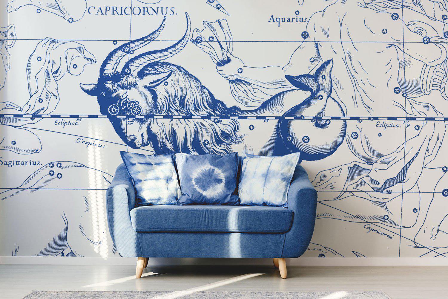 Night Sky Capricorn Astrology Wallpaper Mural-Wall Mural-Eazywallz