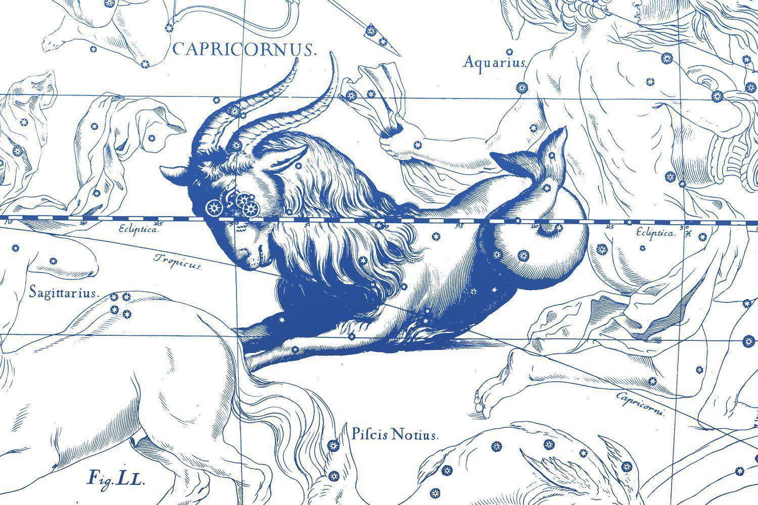 Night Sky Capricorn Astrology Wallpaper Mural-Wall Mural-Eazywallz
