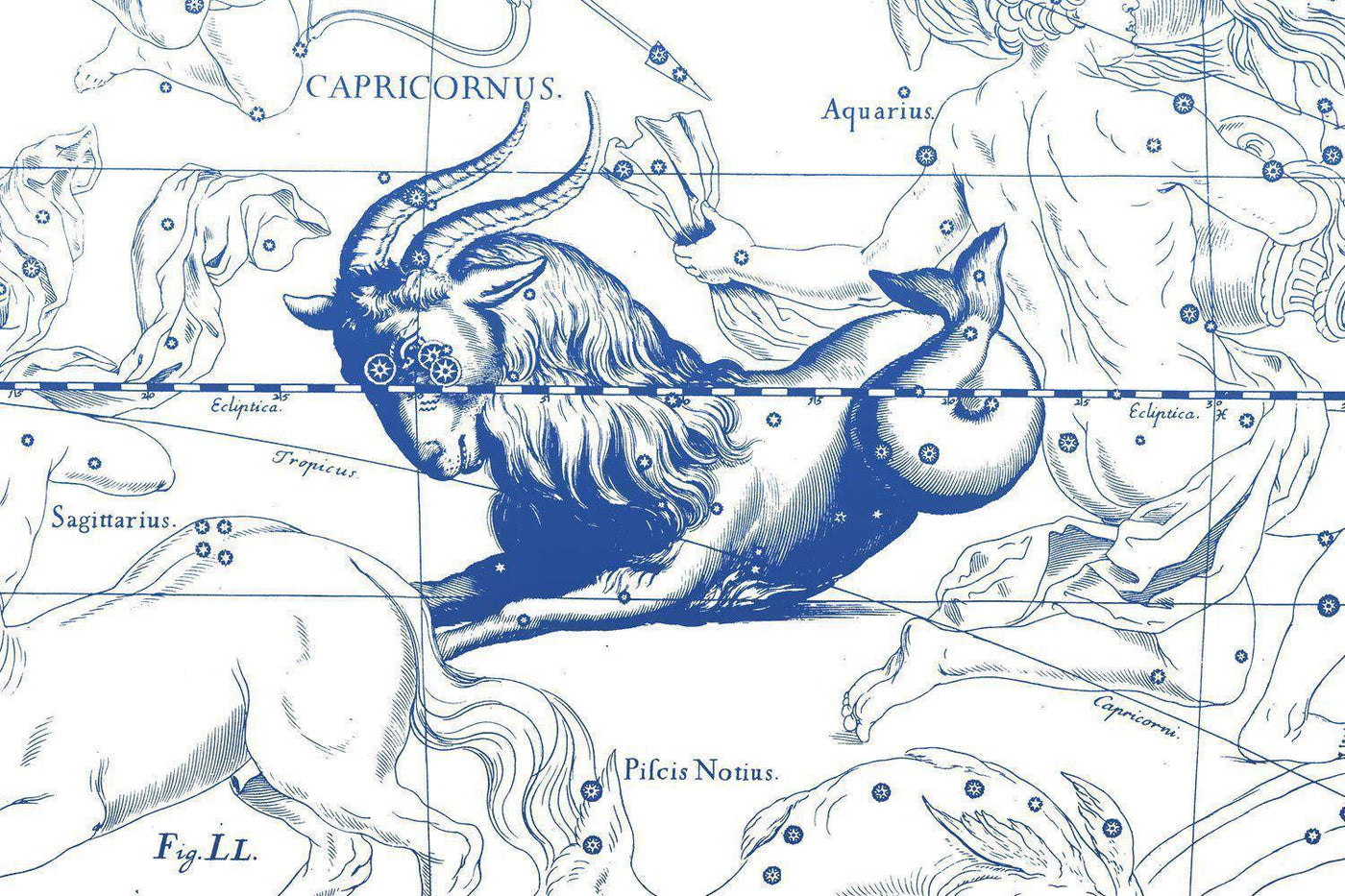 Night Sky Capricorn Astrology Wallpaper Mural-Wall Mural-Eazywallz