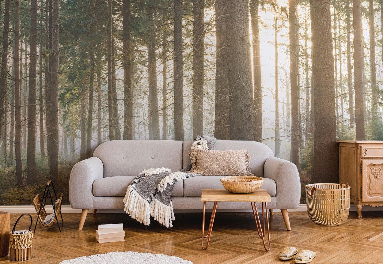 Northern Sun Light Forest Wall Mural-Wall Mural-Eazywallz