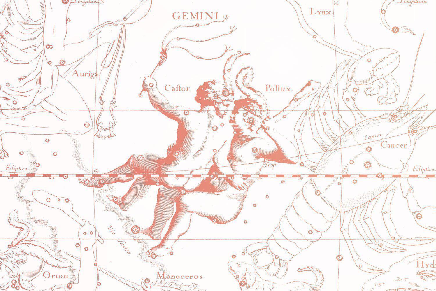 Nude Pink Gemini Astrology Mural-Wall Mural-Eazywallz