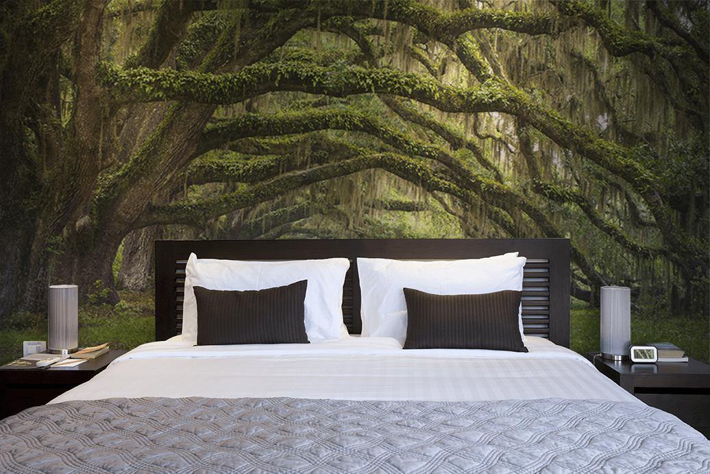 Oak Tree Forest Wall Mural-Wall Mural-Eazywallz