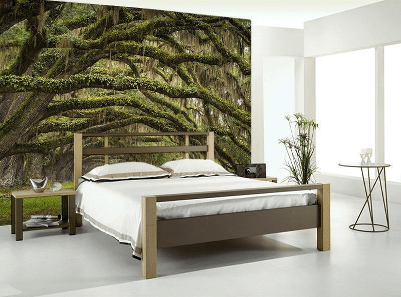 Oak Tree Forest Wall Mural-Wall Mural-Eazywallz