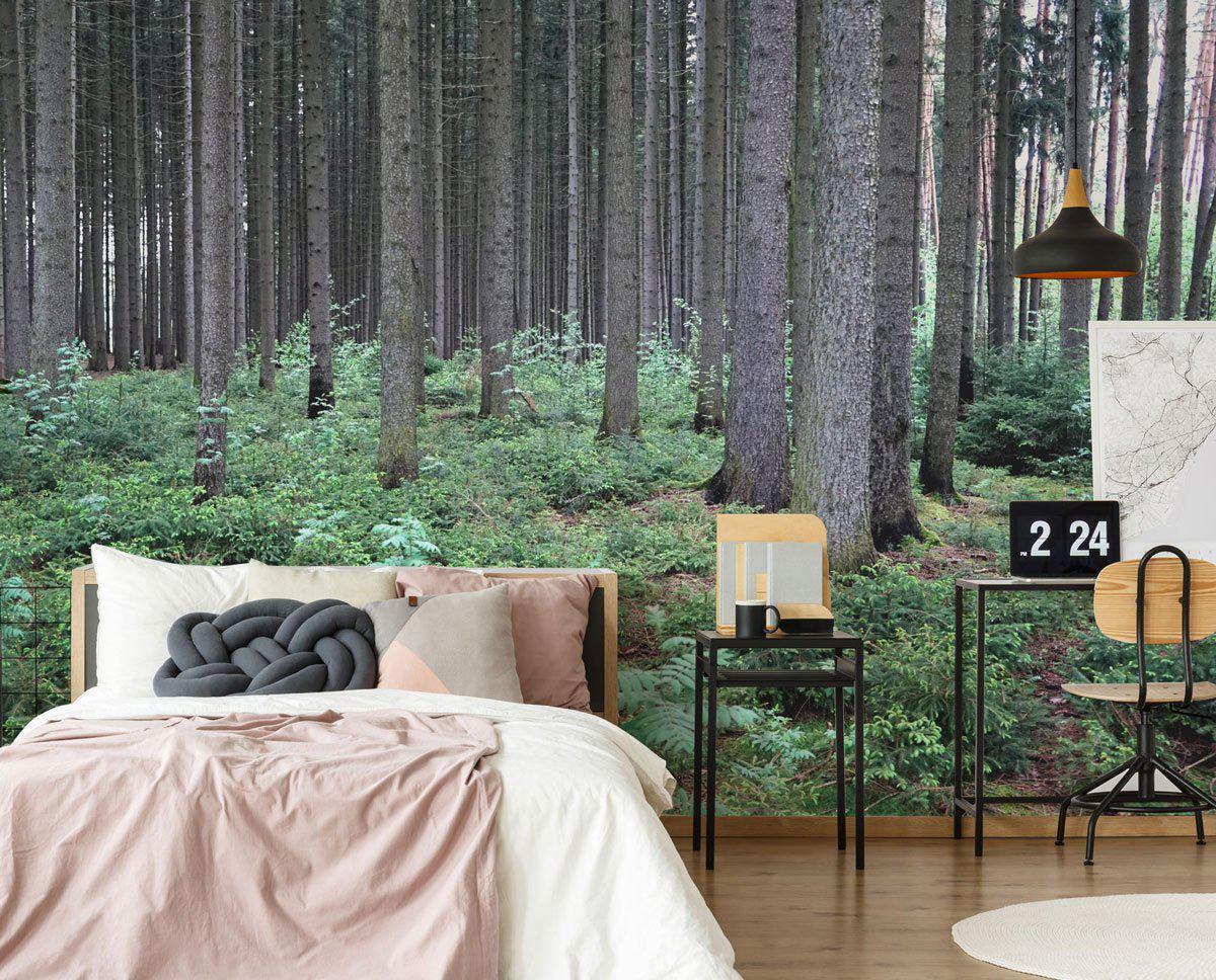 Old Growth Fir Forest Wallpaper Mural-Wall Mural-Eazywallz