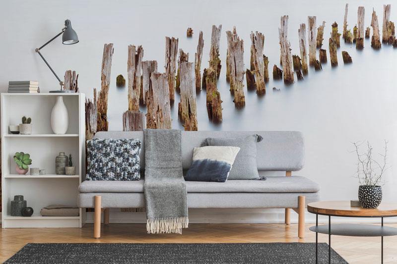 Old Trunks out of Water Wall Mural-Wall Mural-Eazywallz