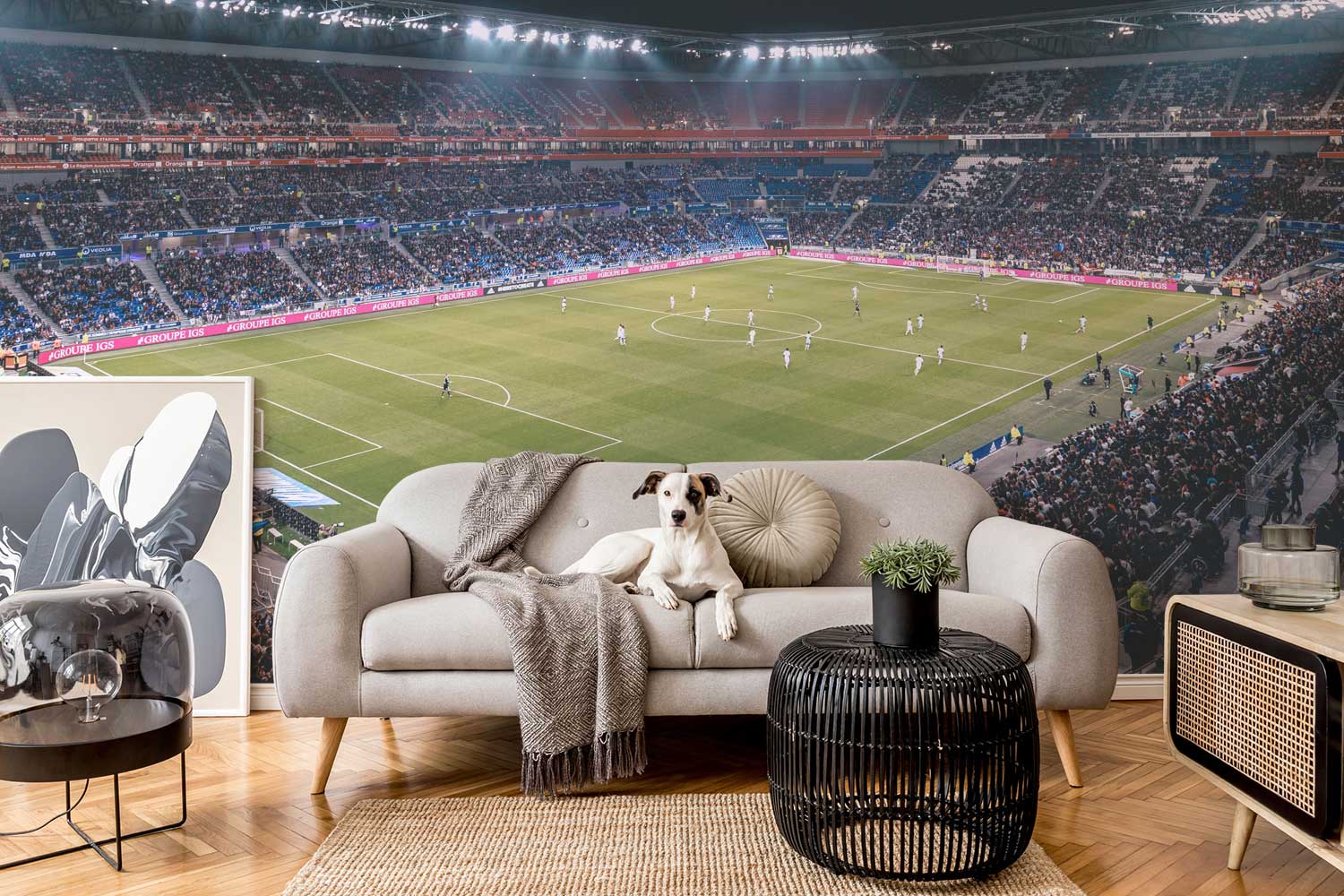 Parc Olympique Lyonnais Stadium Wall Mural-Wall Mural-Eazywallz