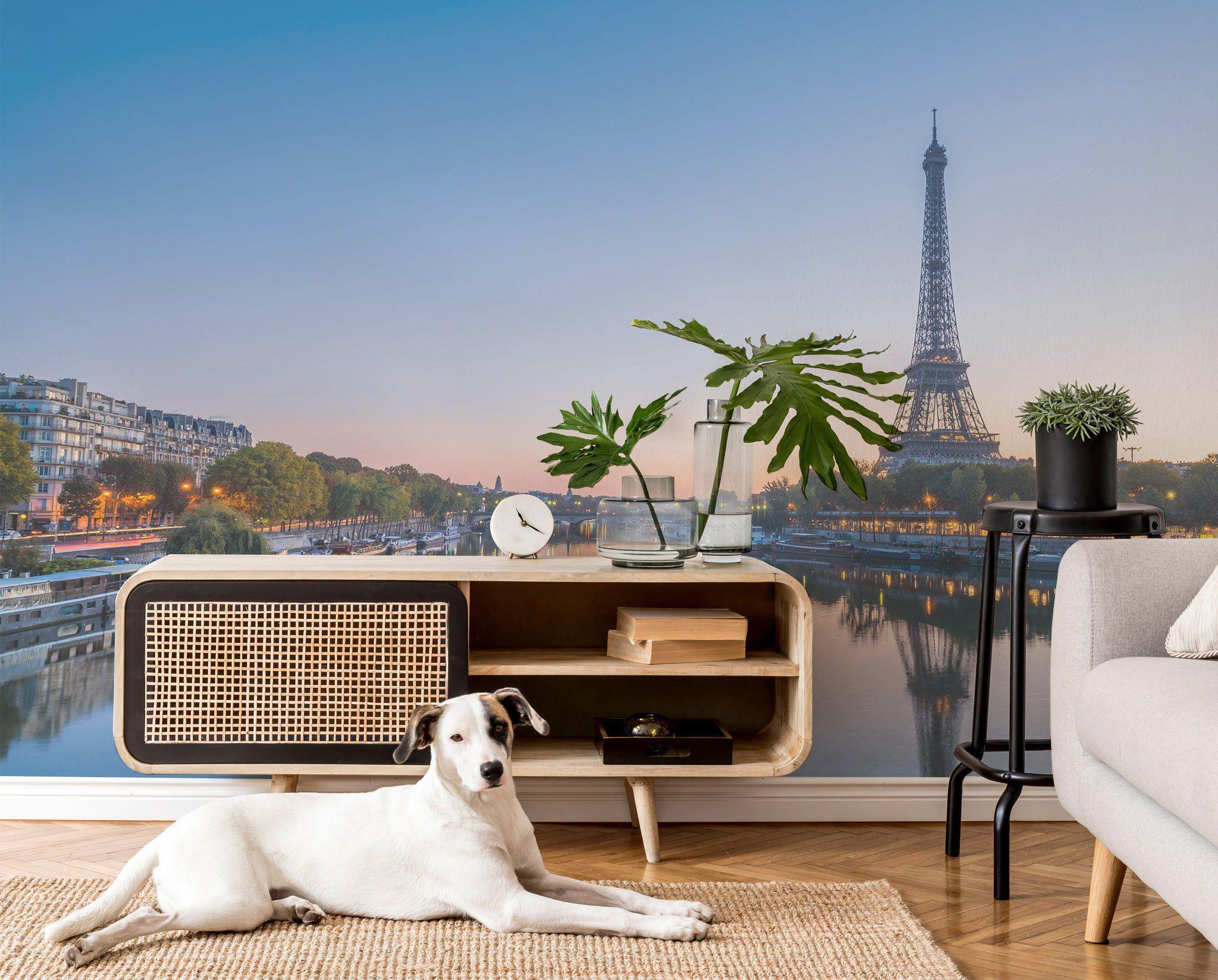 Paris Sunset Wall Mural-Wall Mural-Eazywallz