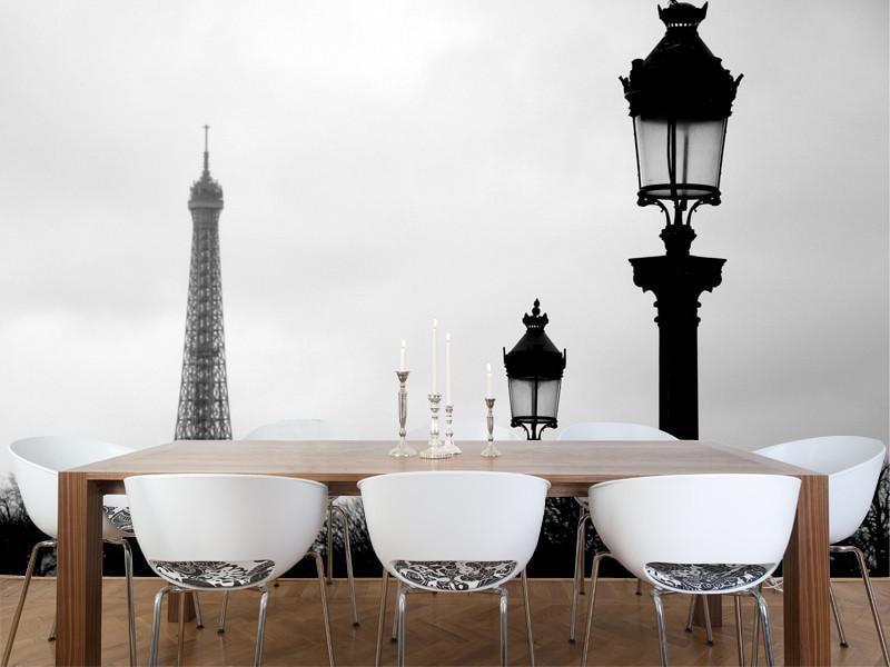 Paris Wall Mural-Wall Mural-Eazywallz