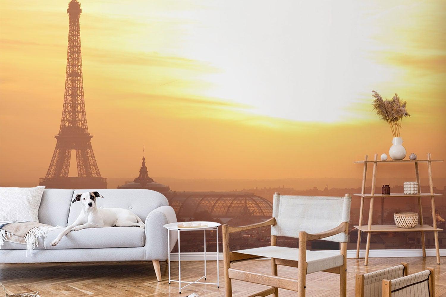 Paris at sunset Wall Mural-Wall Mural-Eazywallz