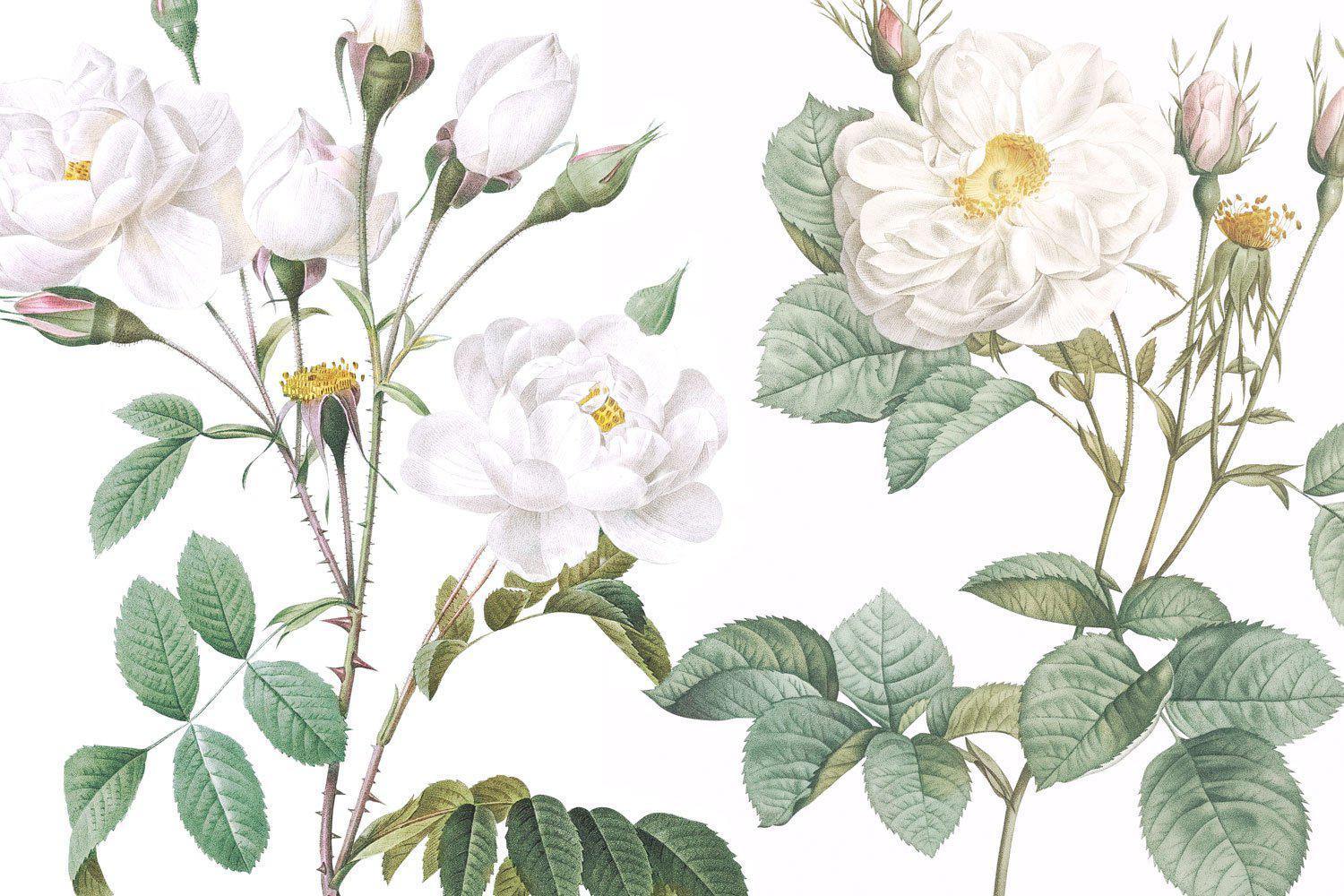 Pink Bellflowers Wall Mural-Wall Mural-Eazywallz