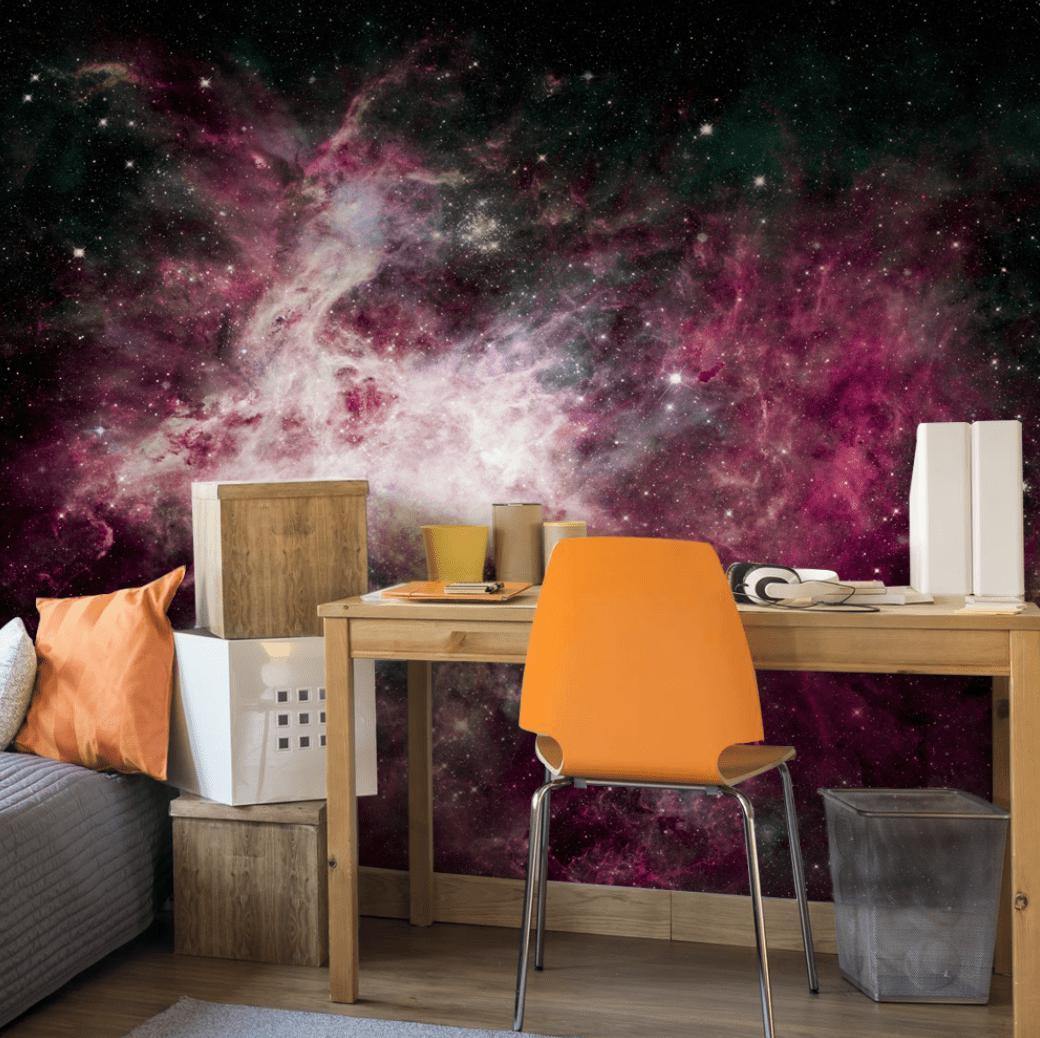 Pink Cosmos Wall Mural-Wall Mural-Eazywallz