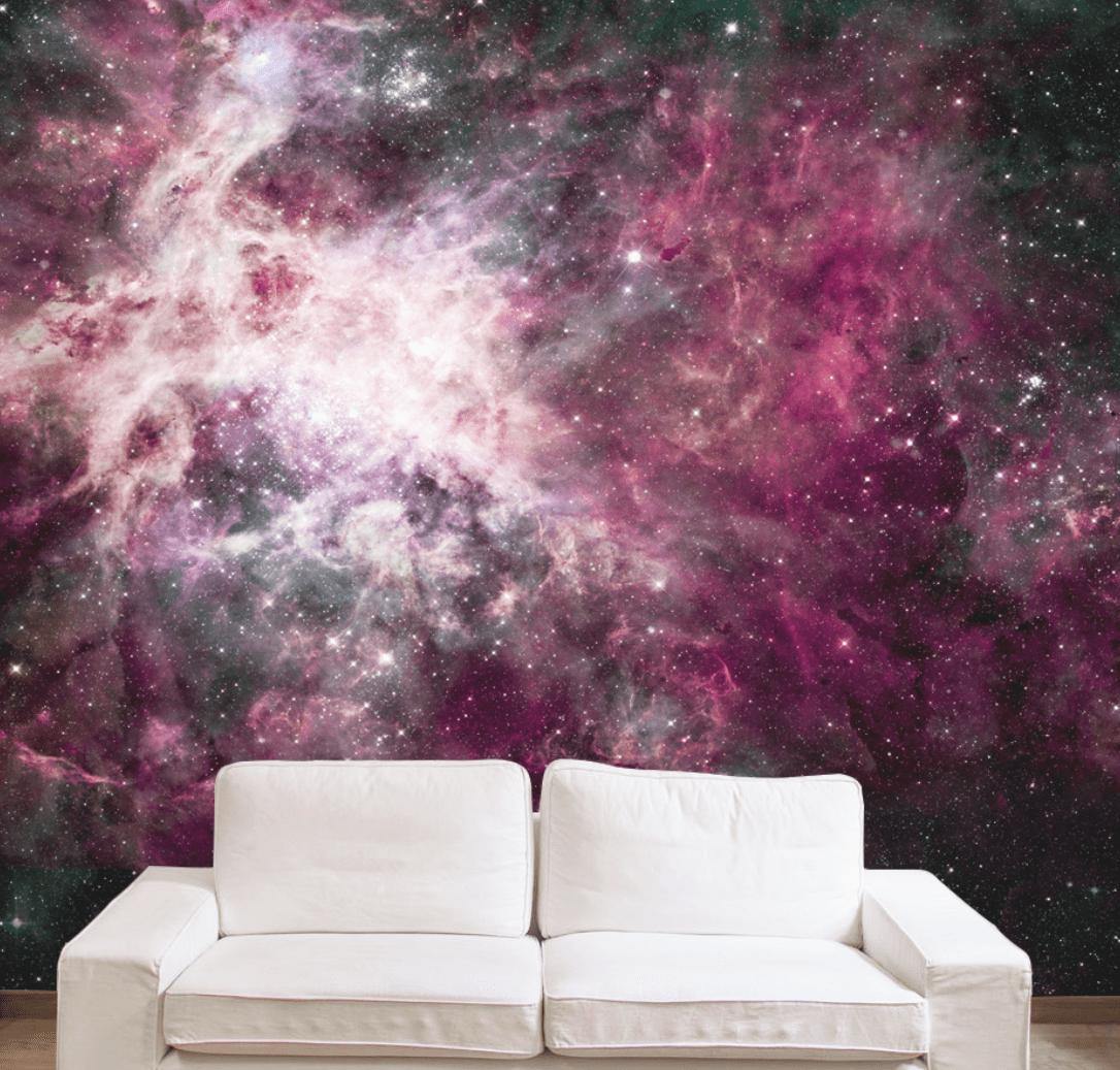 Pink Cosmos Wall Mural-Wall Mural-Eazywallz