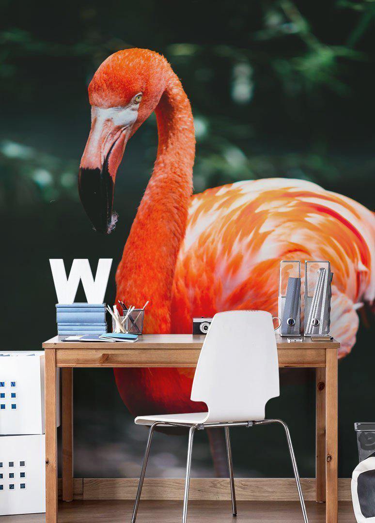 Pink Flamingo Wall Mural-Wall Mural-Eazywallz