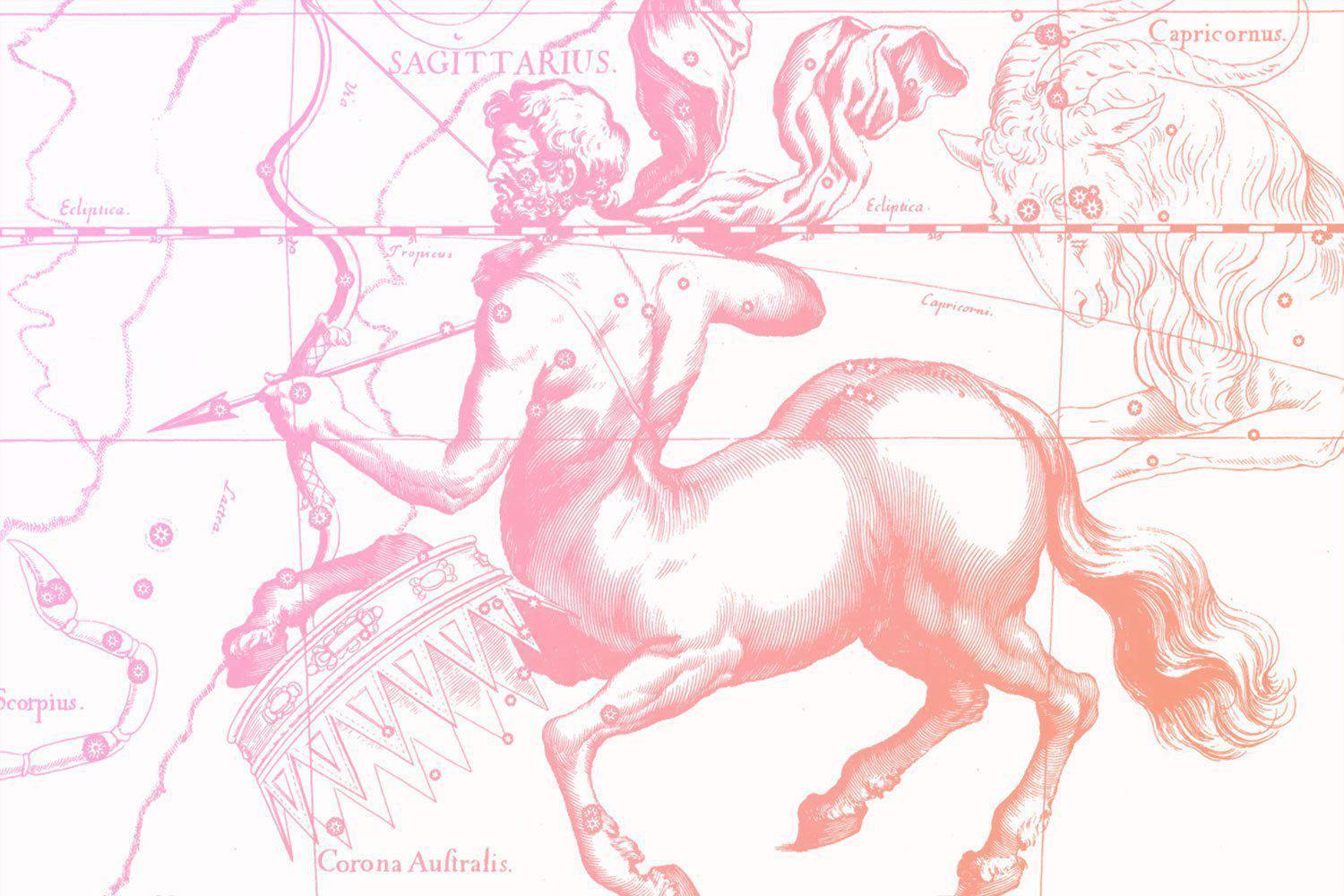 Pink Rose Sagittarius Wall Mural-Wall Mural-Eazywallz