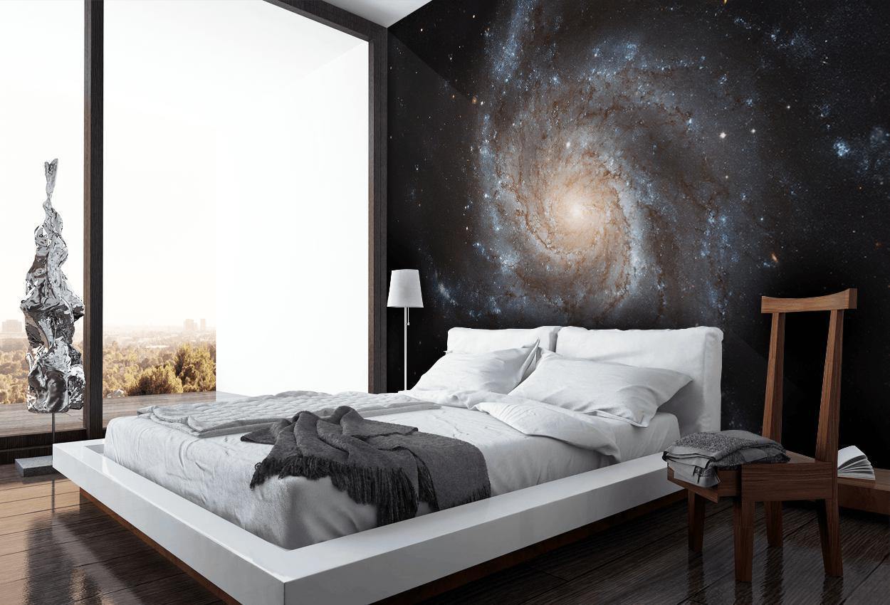 Pinwheel Galaxy Wall Mural-Wall Mural-Eazywallz